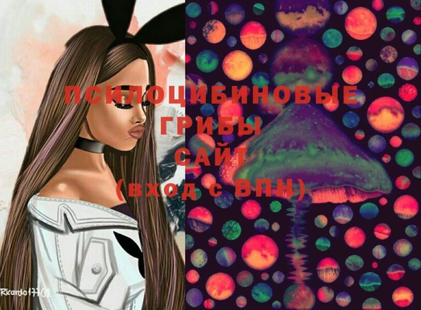 тгк Баксан