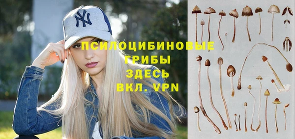 2c-b Балабаново