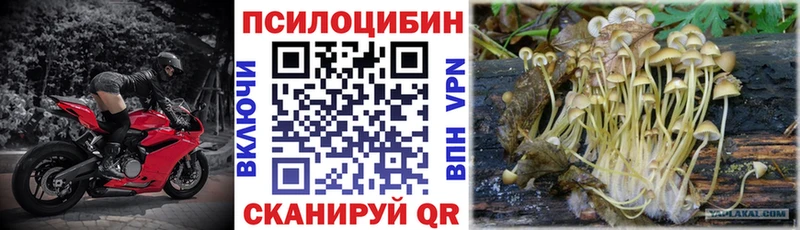 Псилоцибиновые грибы Magic Shrooms  Краснообск 